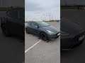 Позашляховик / Кросовер Tesla Model Y 2021 null_content л. Автомат обл. Полтавська, Полтава - Фото 1/21