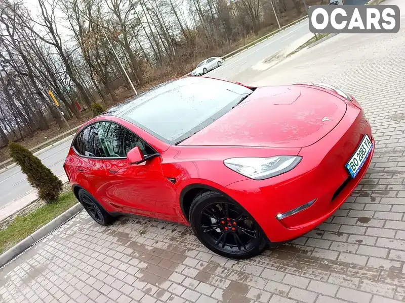 Внедорожник / Кроссовер Tesla Model Y 2021 null_content л. Автомат обл. Тернопольская, Тернополь - Фото 1/19