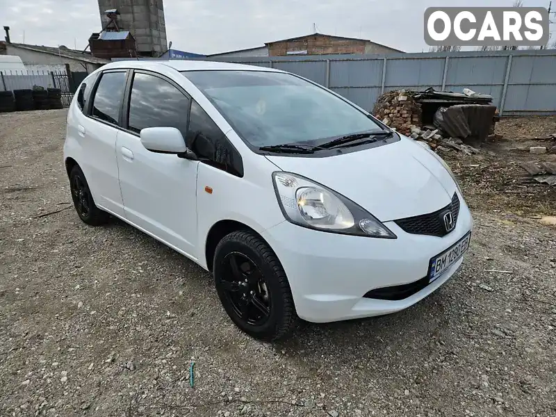 Хэтчбек Honda Jazz 2010 1.2 л. Ручная / Механика обл. Сумская, Шостка - Фото 1/13