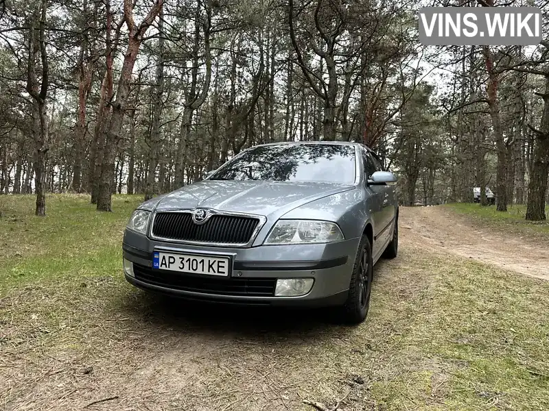 Лифтбек Skoda Octavia 2004 1.97 л. Ручная / Механика обл. Запорожская, Вильнянск - Фото 1/13