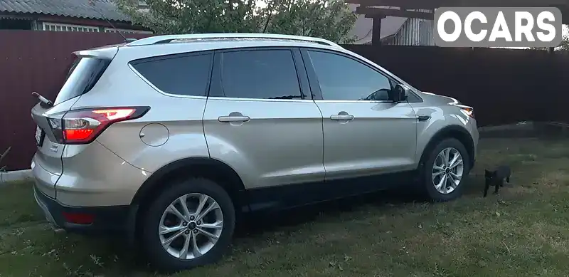 Позашляховик / Кросовер Ford Escape 2016 1.5 л. Автомат обл. Сумська, Охтирка - Фото 1/13