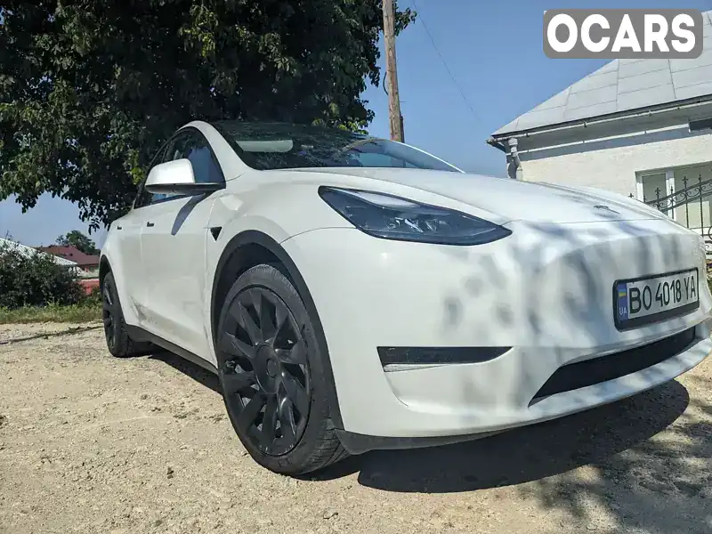 Позашляховик / Кросовер Tesla Model Y 2023 null_content л. обл. Тернопільська, Збараж - Фото 1/18