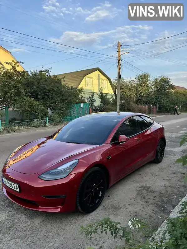 Седан Tesla Model 3 2021 null_content л. обл. Житомирська, Житомир - Фото 1/21