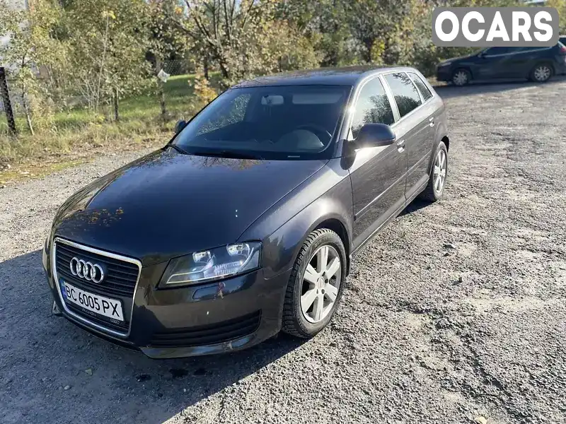 Хетчбек Audi A3 2008 1.6 л. Ручна / Механіка обл. Львівська, Львів - Фото 1/10