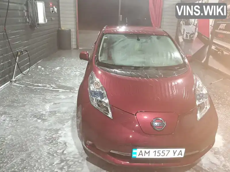 Хетчбек Nissan Leaf 2014 null_content л. обл. Київська, Бориспіль - Фото 1/16