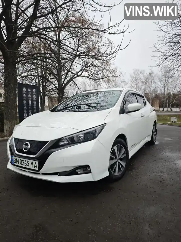 Хэтчбек Nissan Leaf 2018 null_content л. Автомат обл. Сумская, Ромны - Фото 1/13