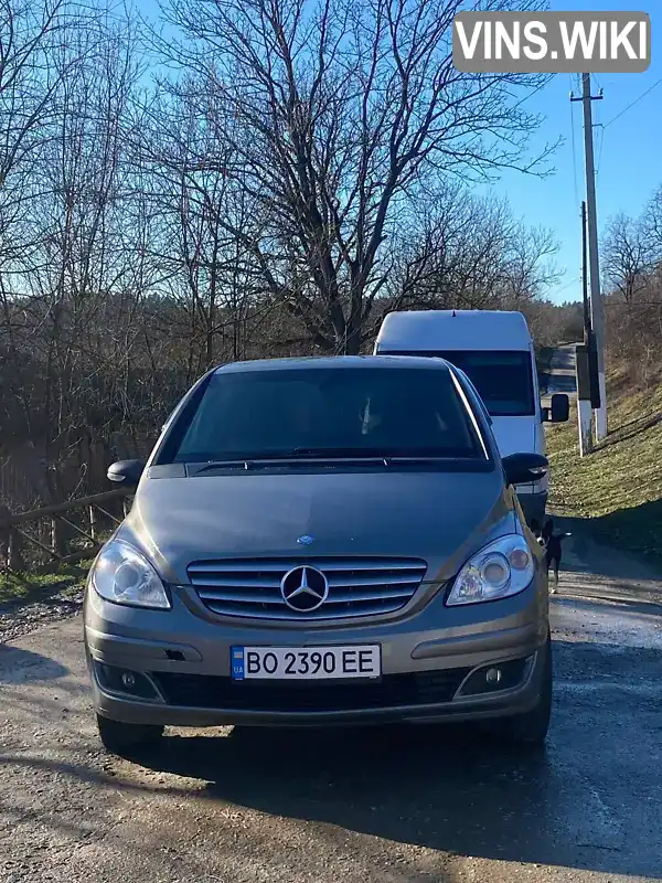 Хетчбек Mercedes-Benz B-Class 2007 1.99 л. Ручна / Механіка обл. Тернопільська, Заліщики - Фото 1/16